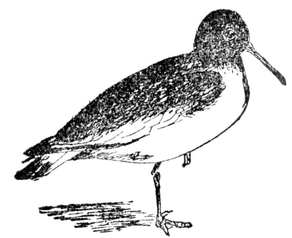 gille-brìghde