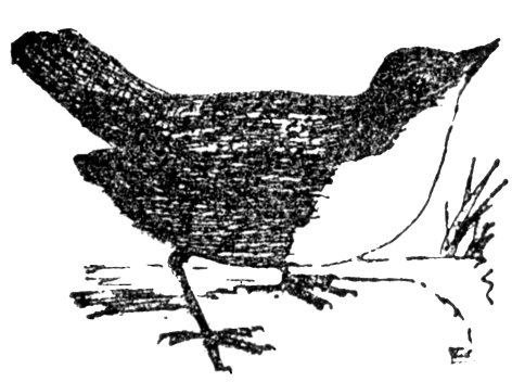 gobha-uisge