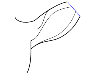 bàrr